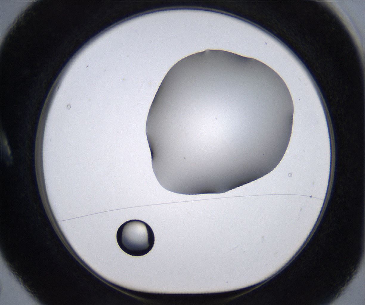 folderID268_plateID2268_batchID10353_wellNum5_profileID1_d1_r157578_ef.jpg