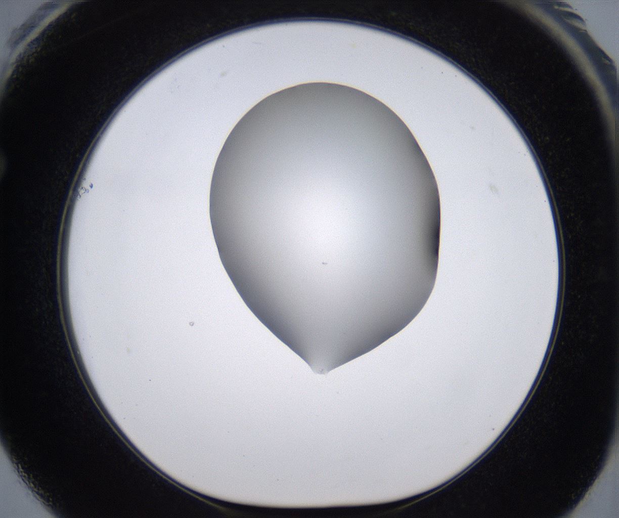 folderID268_plateID2268_batchID10353_wellNum61_profileID1_d1_r157690_ef.jpg