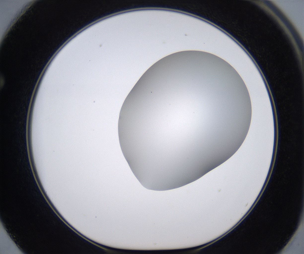 folderID268_plateID2268_batchID10353_wellNum62_profileID1_d1_r157692_ef.jpg