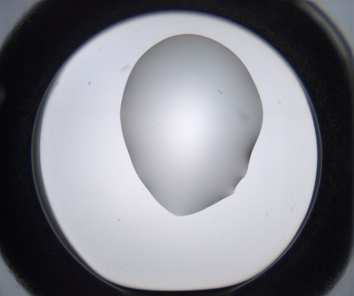 folderID268_plateID2268_batchID10353_wellNum63_profileID1_d1_r157694_ef.jpg