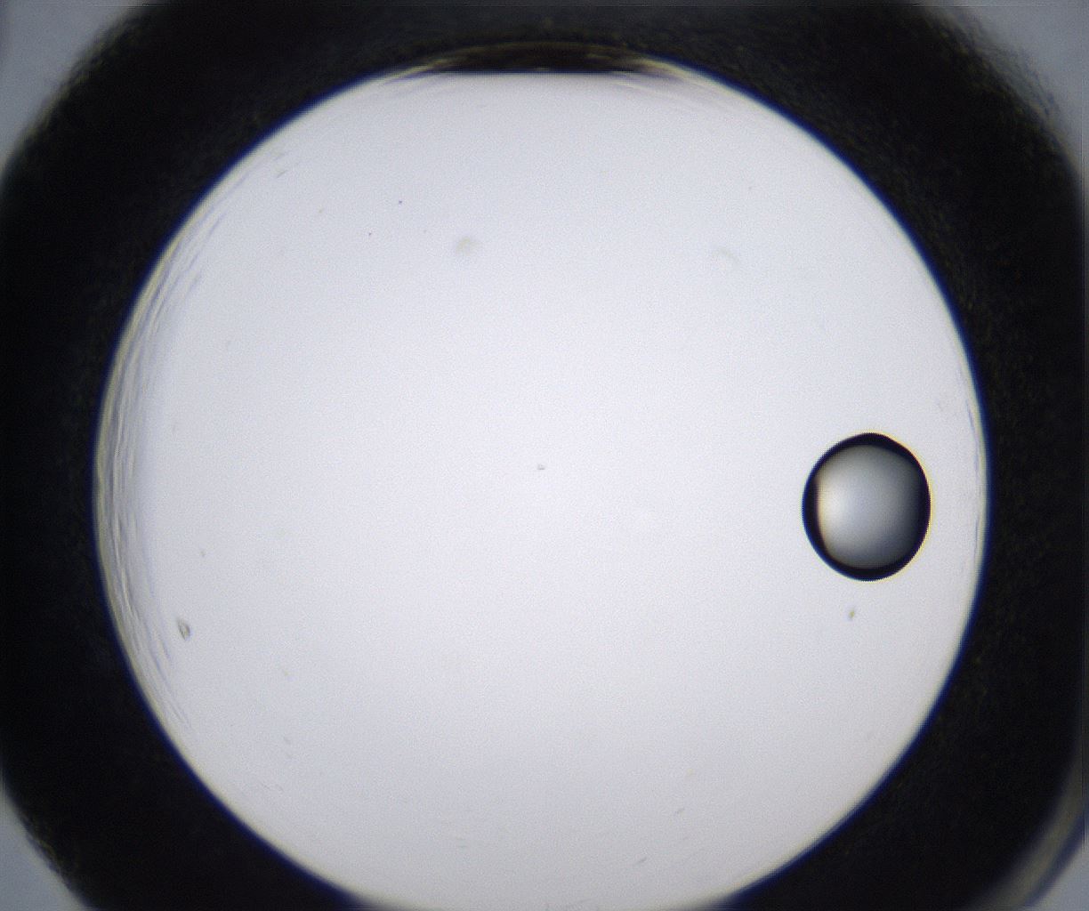 folderID268_plateID2268_batchID10353_wellNum65_profileID1_d2_r157699_ef.jpg