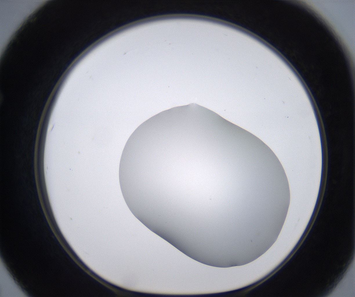 folderID268_plateID2268_batchID10353_wellNum67_profileID1_d1_r157702_ef.jpg