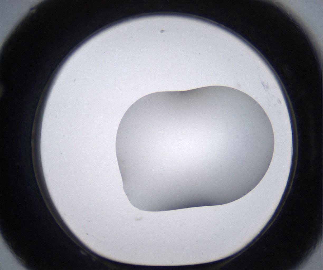 folderID268_plateID2268_batchID10353_wellNum68_profileID1_d1_r157704_ef.jpg