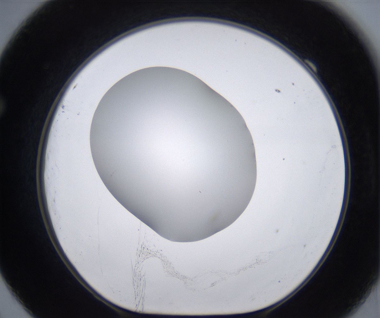 folderID268_plateID2268_batchID10353_wellNum69_profileID1_d1_r157706_ef.jpg