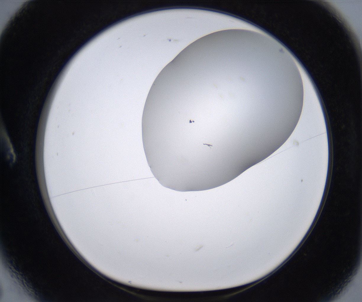 folderID268_plateID2268_batchID10353_wellNum6_profileID1_d1_r157580_ef.jpg