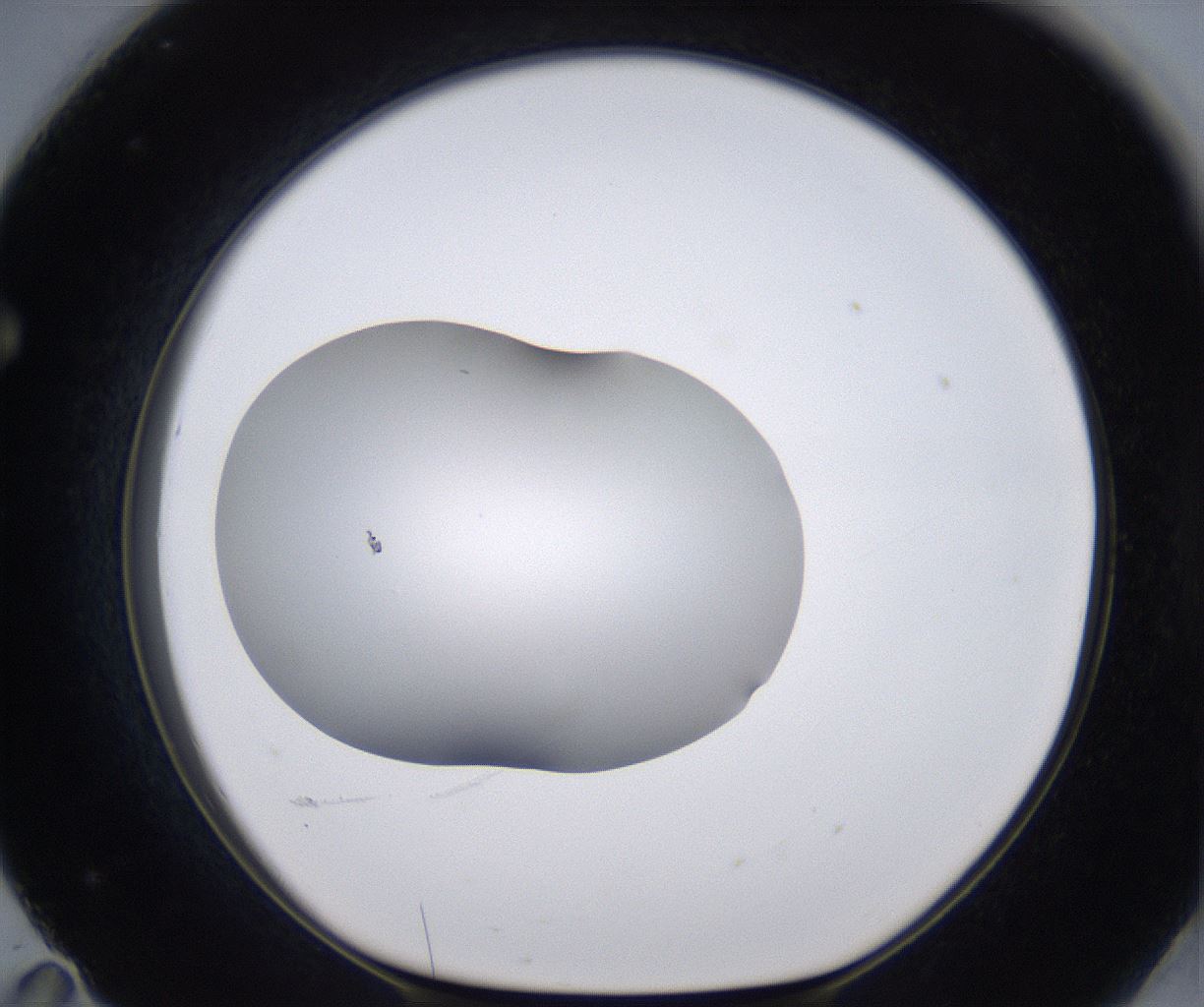 folderID268_plateID2268_batchID10353_wellNum71_profileID1_d1_r157710_ef.jpg