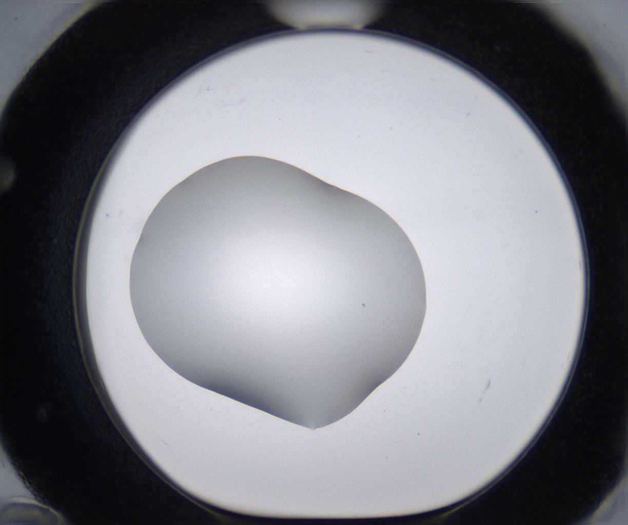 folderID268_plateID2268_batchID10353_wellNum72_profileID1_d1_r157712_ef.jpg