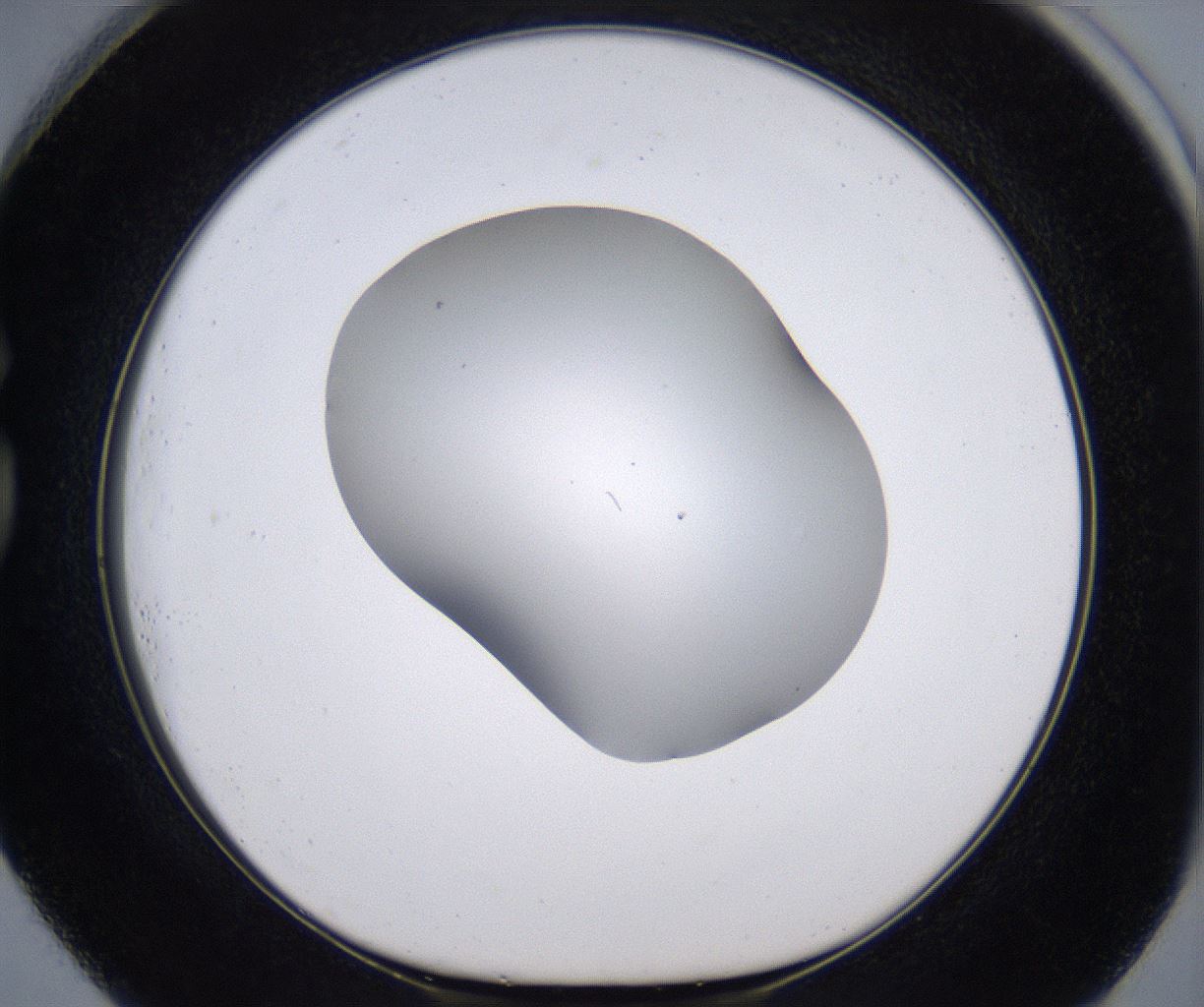 folderID268_plateID2268_batchID10353_wellNum73_profileID1_d1_r157714_ef.jpg
