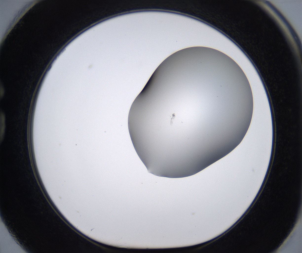 folderID268_plateID2268_batchID10353_wellNum74_profileID1_d1_r157716_ef.jpg