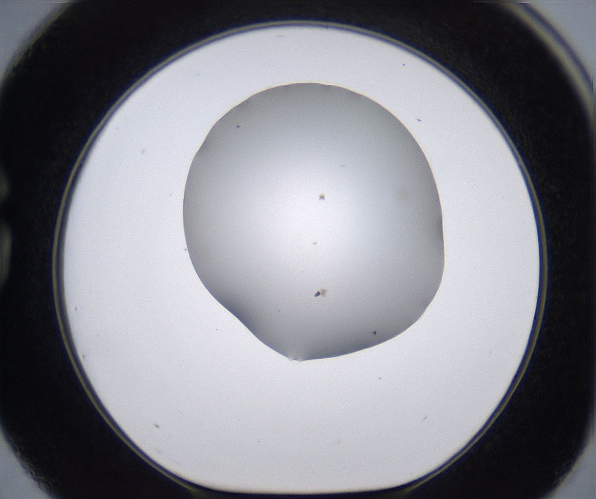 folderID268_plateID2268_batchID10353_wellNum75_profileID1_d1_r157718_ef.jpg