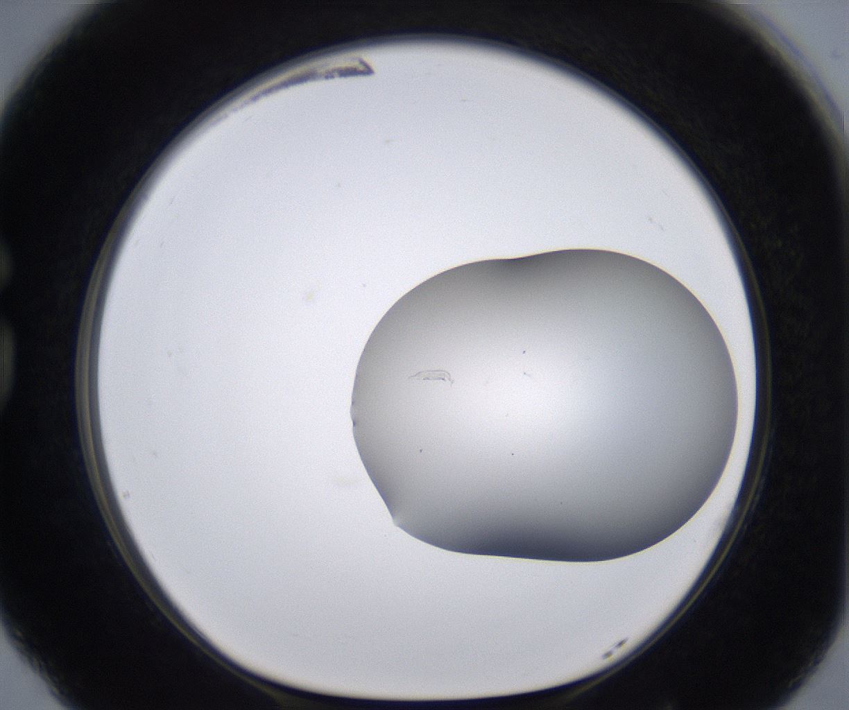 folderID268_plateID2268_batchID10353_wellNum77_profileID1_d1_r157722_ef.jpg