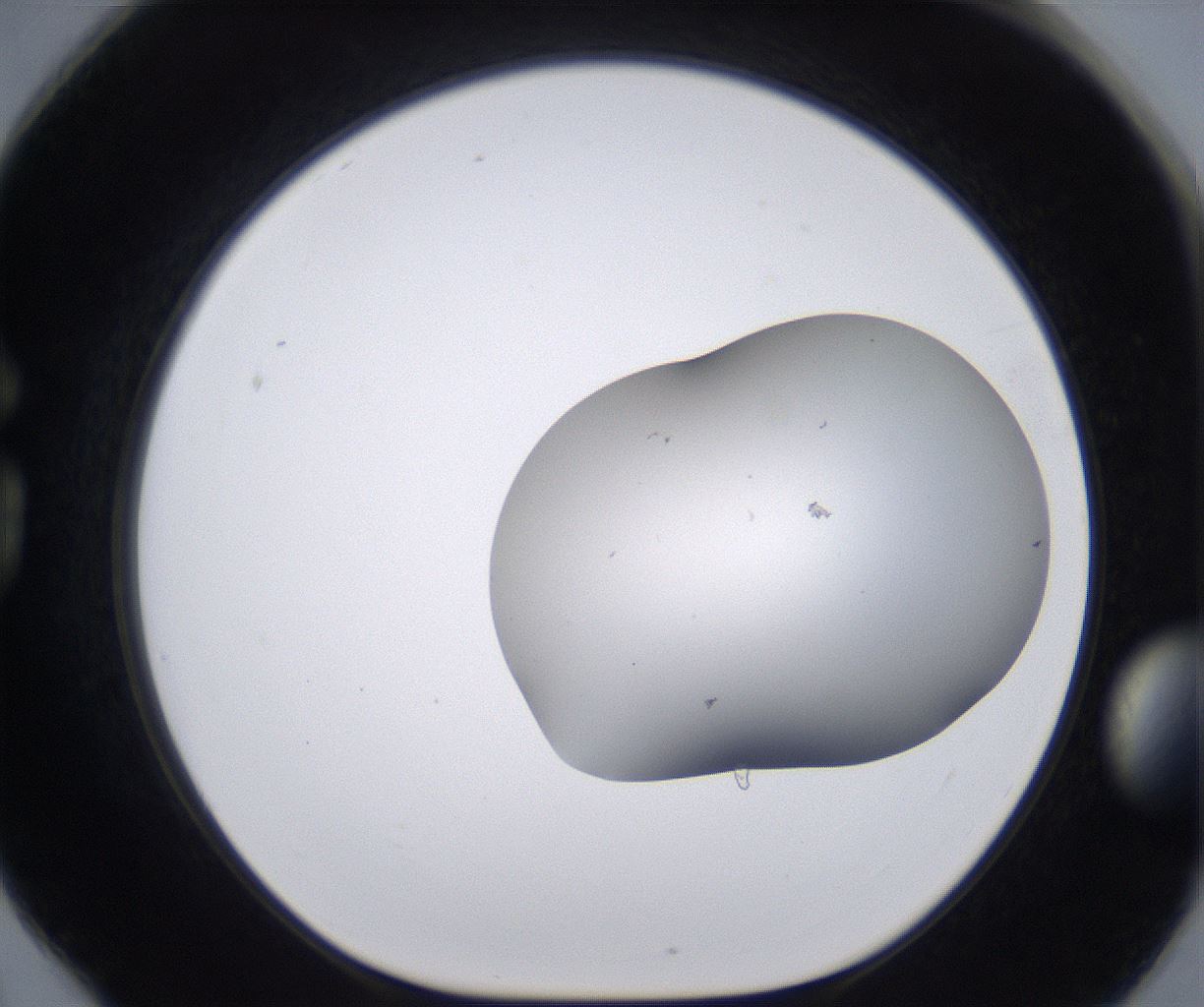 folderID268_plateID2268_batchID10353_wellNum78_profileID1_d1_r157724_ef.jpg