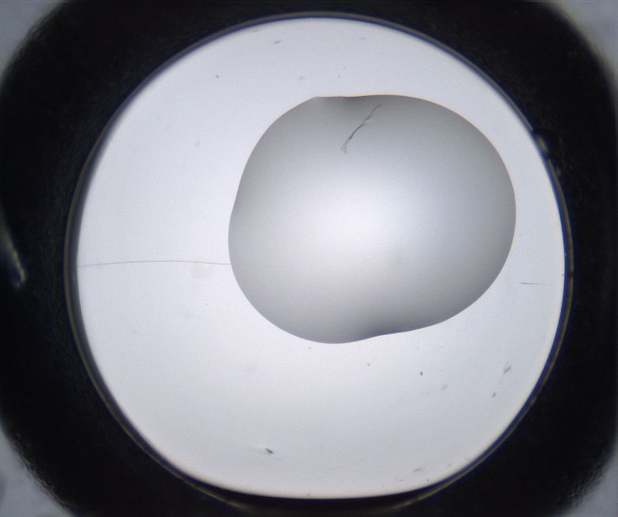 folderID268_plateID2268_batchID10353_wellNum7_profileID1_d1_r157582_ef.jpg