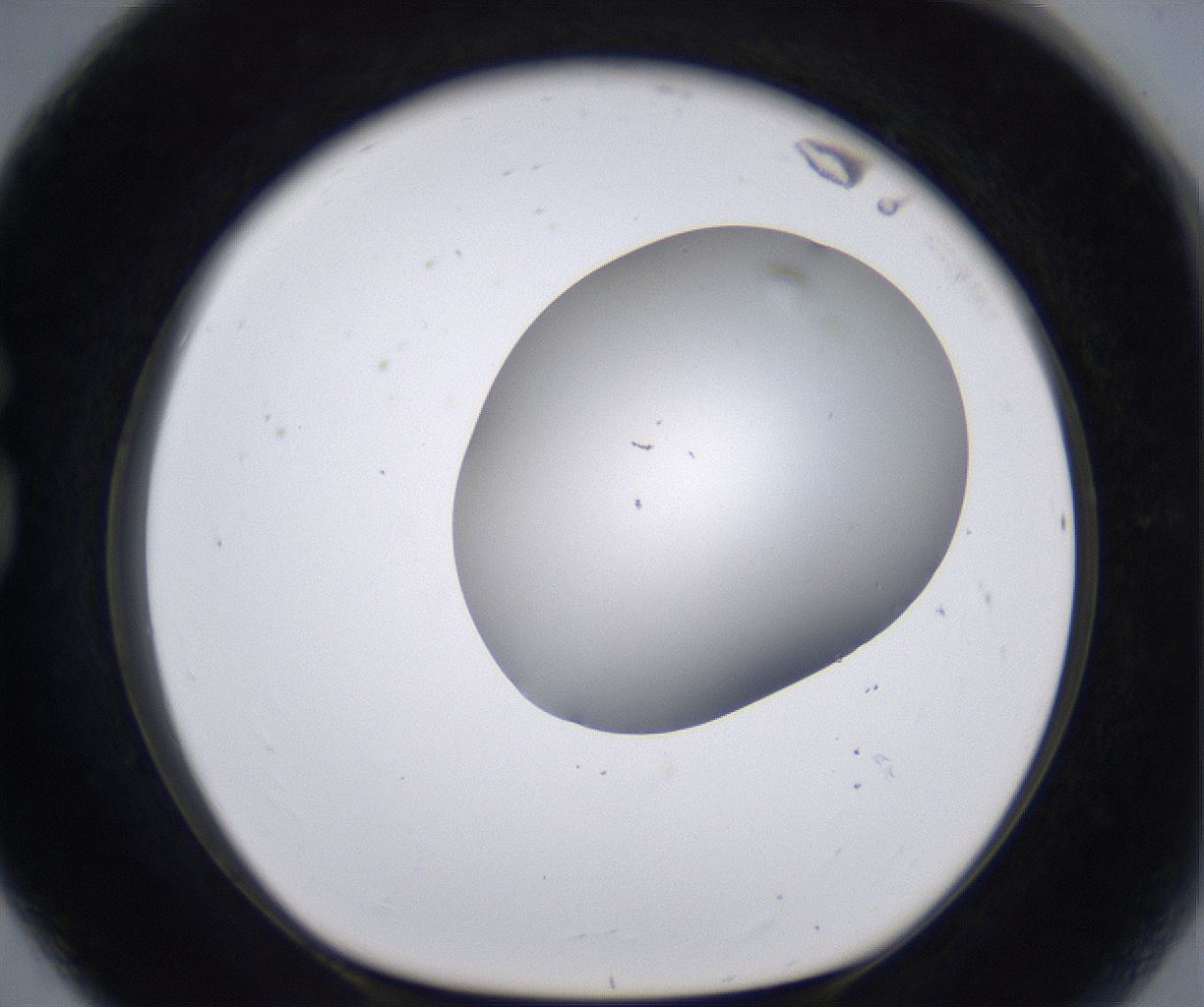 folderID268_plateID2268_batchID10353_wellNum80_profileID1_d1_r157728_ef.jpg