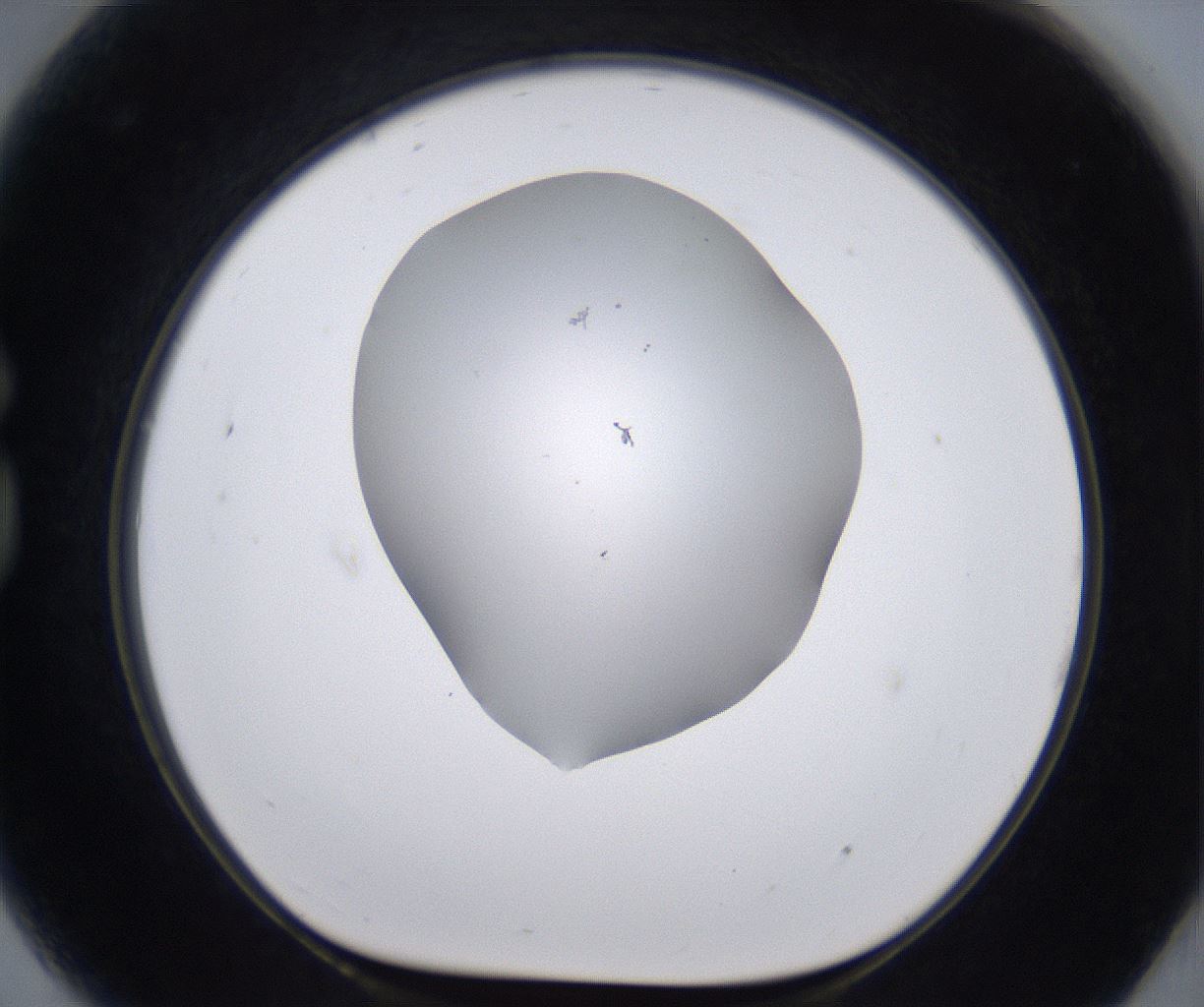 folderID268_plateID2268_batchID10353_wellNum81_profileID1_d1_r157730_ef.jpg