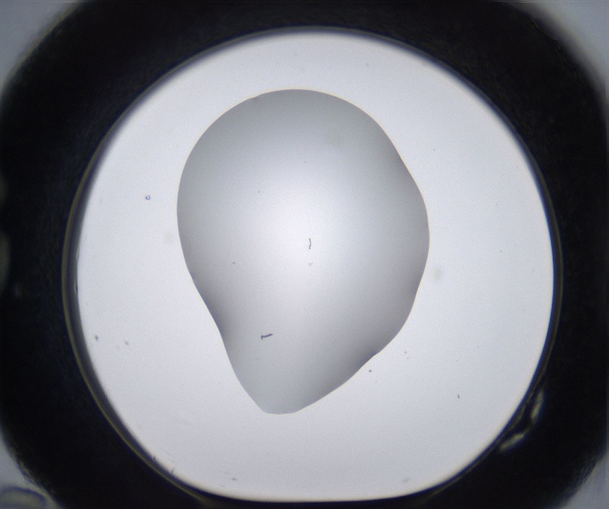 folderID268_plateID2268_batchID10353_wellNum82_profileID1_d1_r157732_ef.jpg