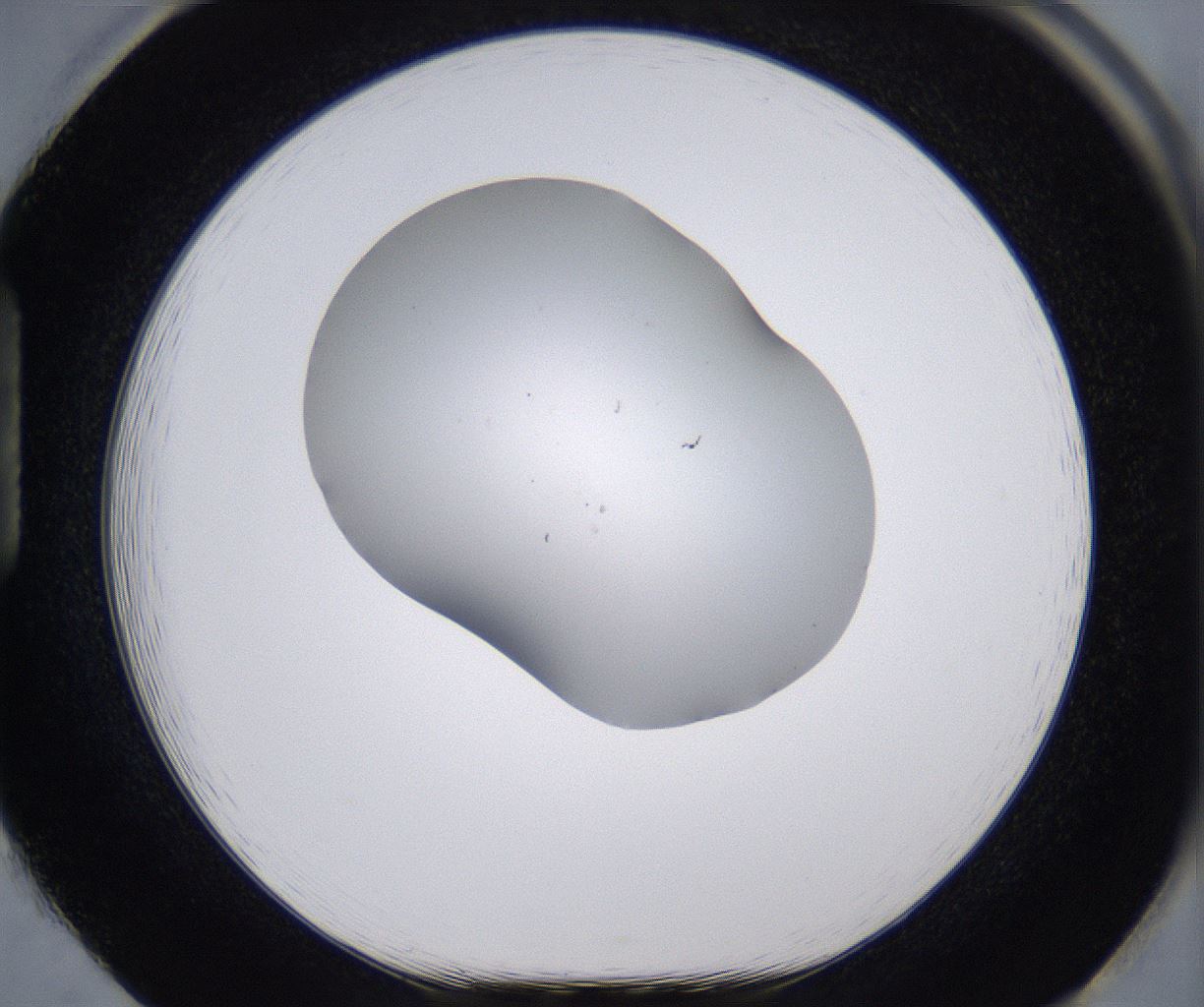 folderID268_plateID2268_batchID10353_wellNum85_profileID1_d1_r157738_ef.jpg