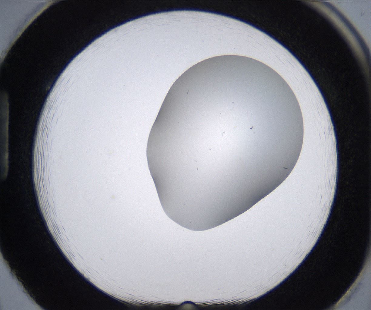folderID268_plateID2268_batchID10353_wellNum86_profileID1_d1_r157740_ef.jpg