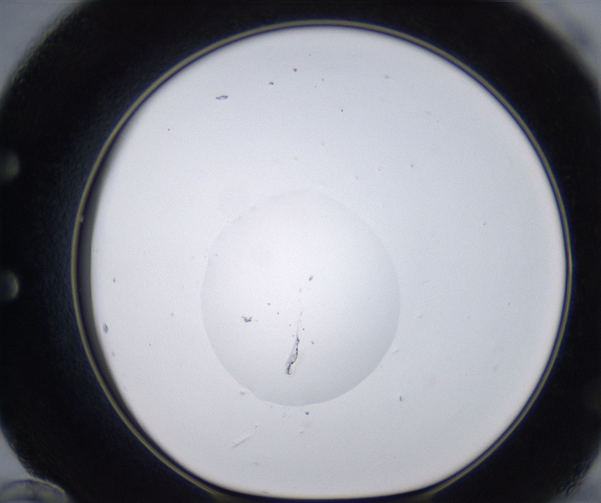 folderID268_plateID2268_batchID10353_wellNum60_profileID1_d1_r157688_ef.jpg