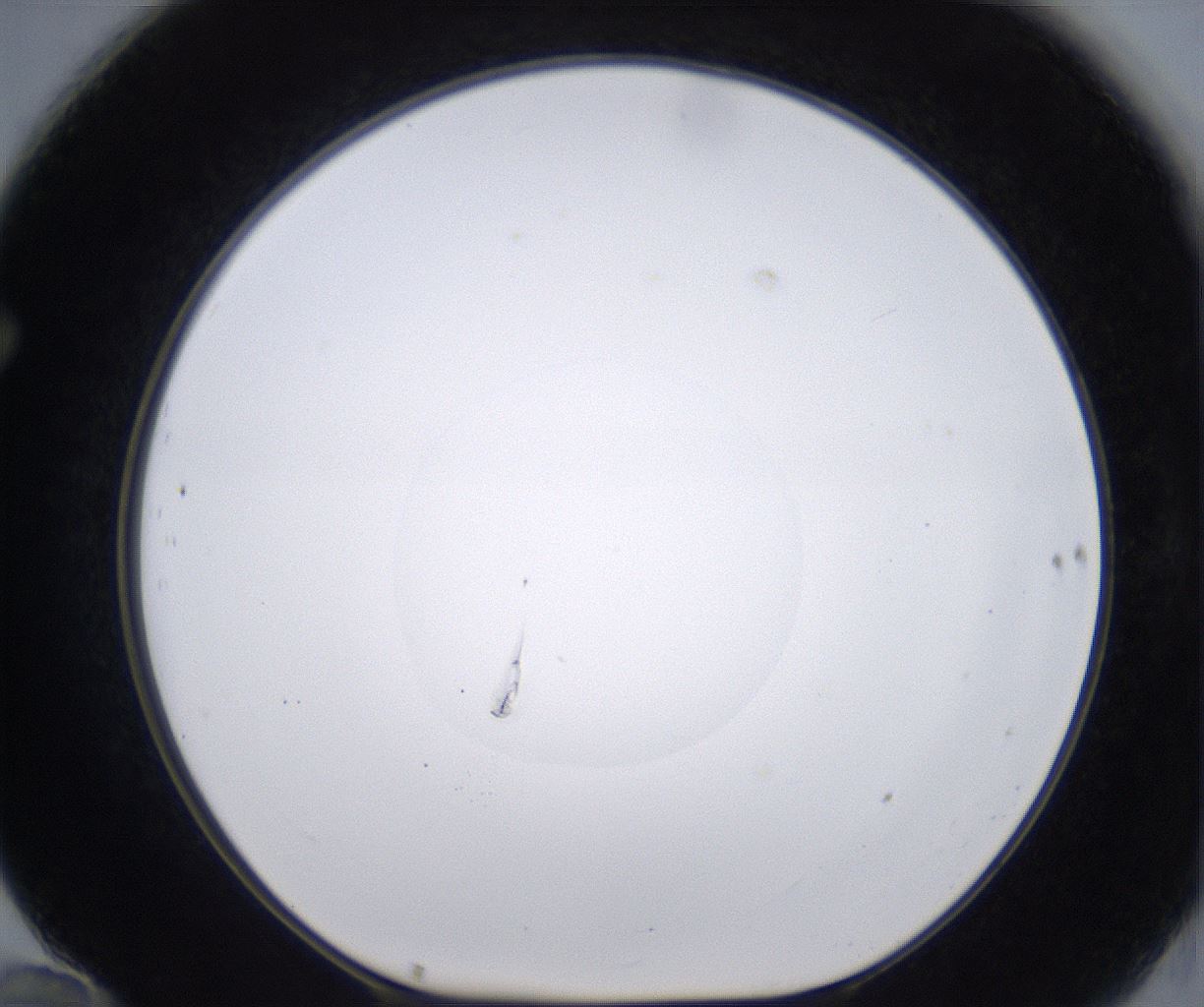 folderID268_plateID2268_batchID10353_wellNum70_profileID1_d1_r157708_ef.jpg