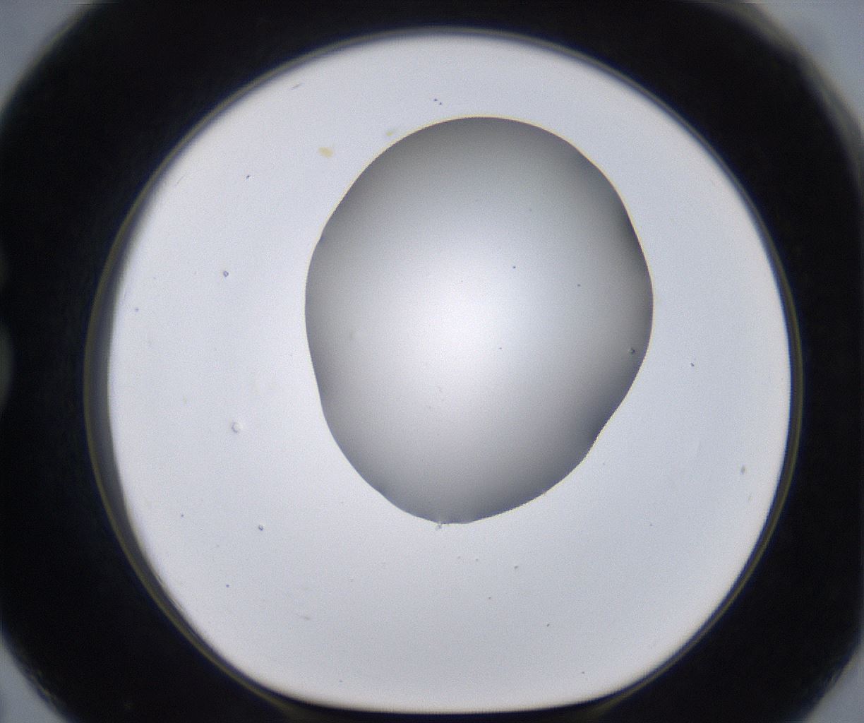 folderID268_plateID2268_batchID10353_wellNum79_profileID1_d1_r157726_ef.jpg
