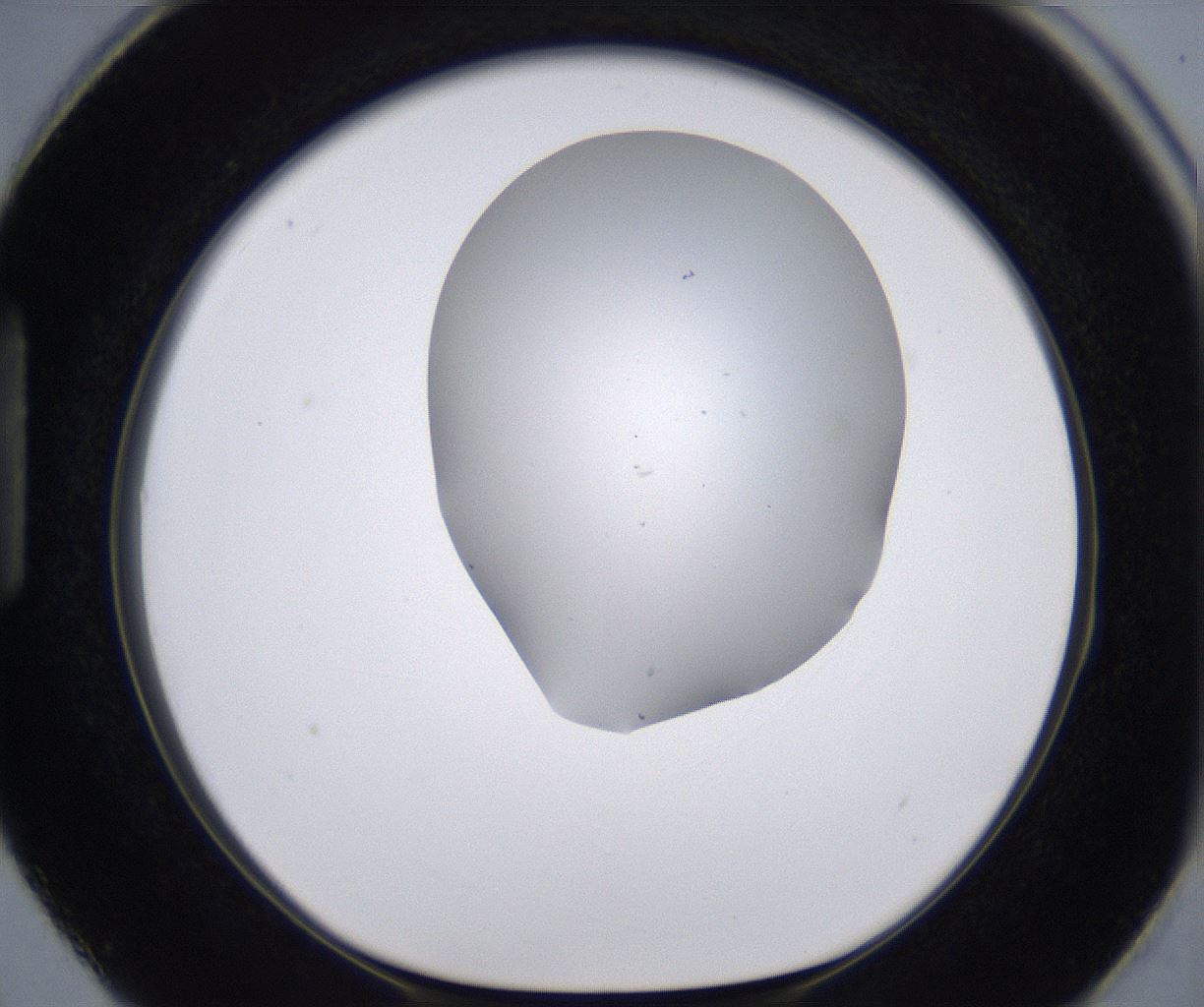 folderID268_plateID2268_batchID10353_wellNum87_profileID1_d1_r157742_ef.jpg