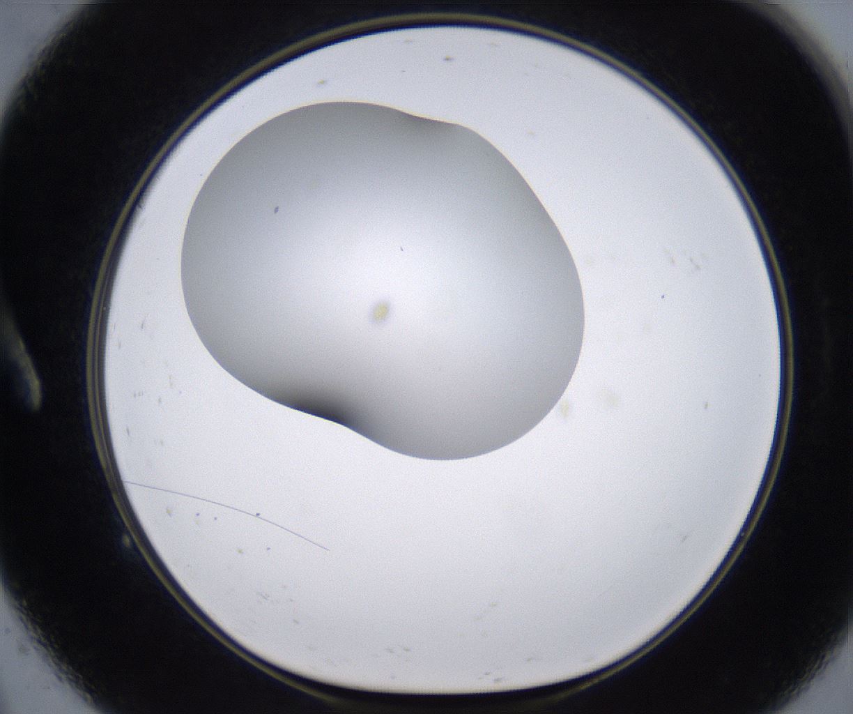 folderID268_plateID2268_batchID10353_wellNum9_profileID1_d1_r157586_ef.jpg