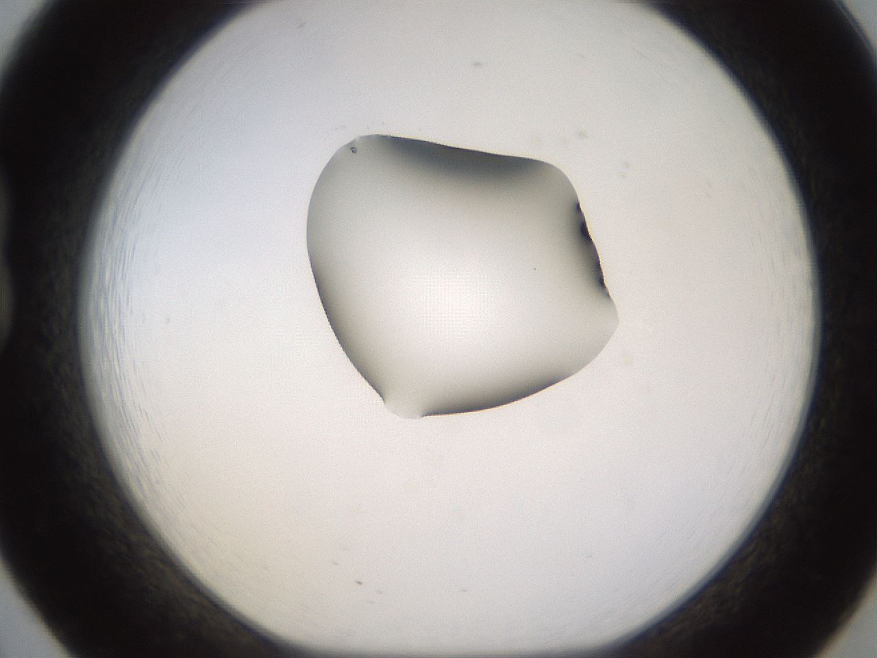 folderID269_plateID1269_batchID4165_wellNum20_profileID1_d1_r73182_ef.jpg