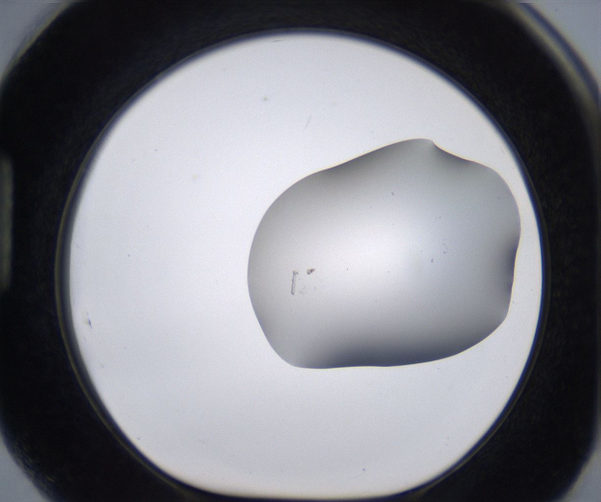 folderID268_plateID2268_batchID10353_wellNum89_profileID1_d1_r157746_ef.jpg