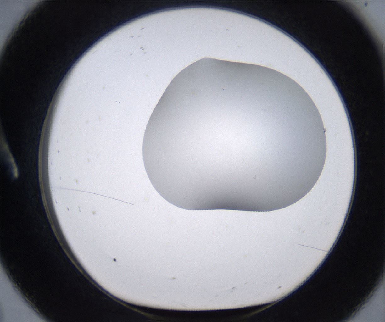 folderID268_plateID2268_batchID10353_wellNum8_profileID1_d1_r157584_ef.jpg