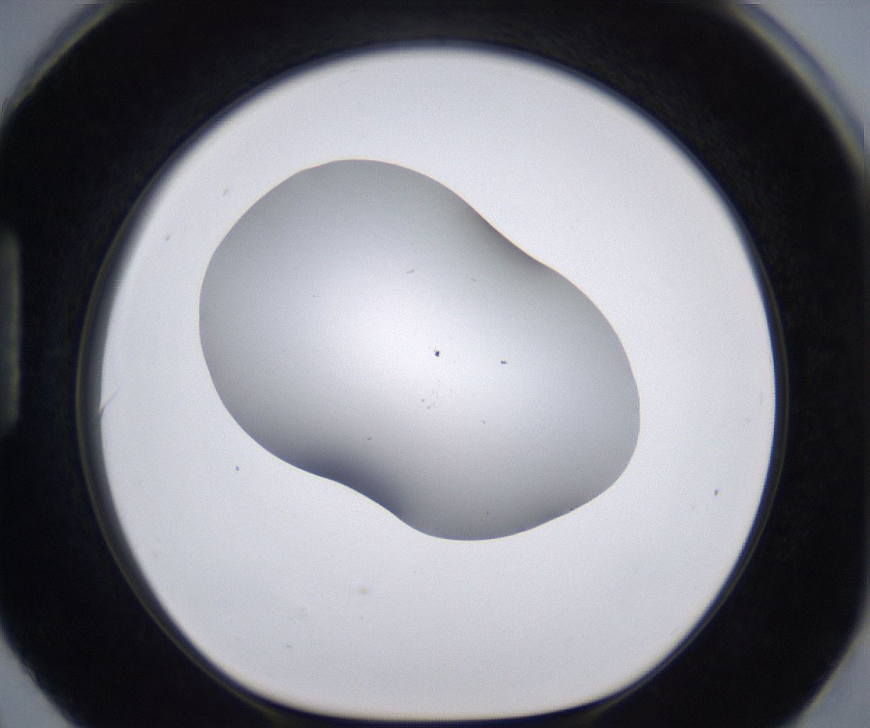 folderID268_plateID2268_batchID10353_wellNum90_profileID1_d1_r157748_ef.jpg