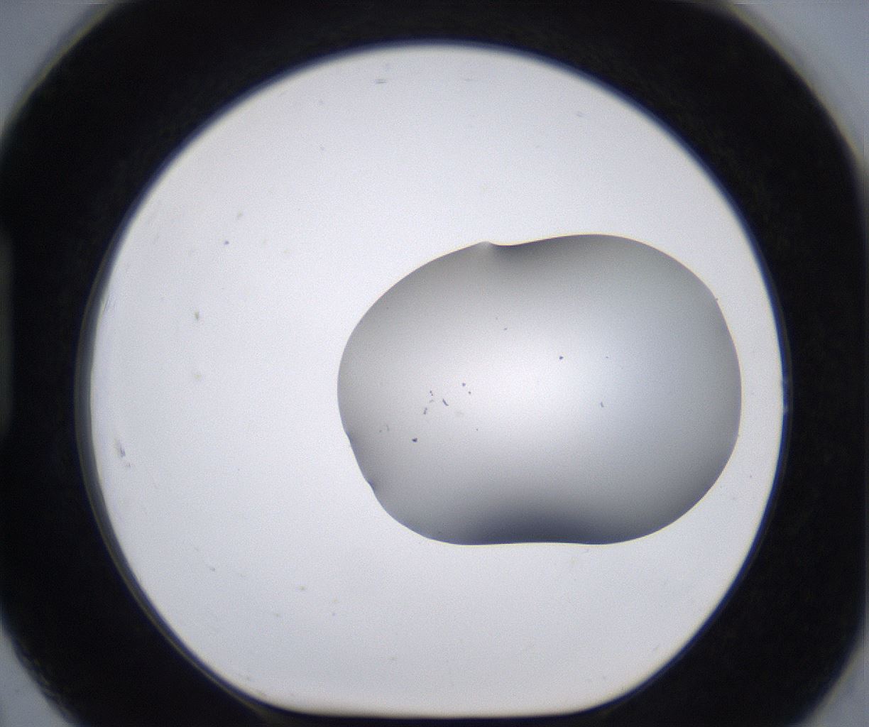 folderID268_plateID2268_batchID10353_wellNum91_profileID1_d1_r157750_ef.jpg