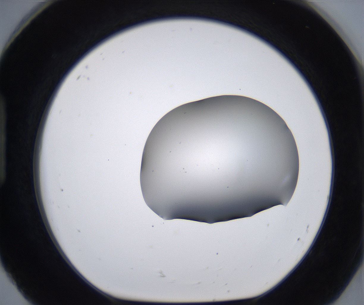 folderID268_plateID2268_batchID10353_wellNum92_profileID1_d1_r157752_ef.jpg