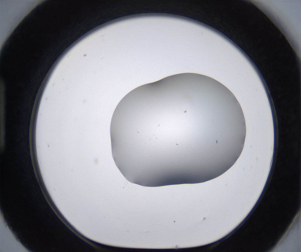 folderID268_plateID2268_batchID10353_wellNum93_profileID1_d1_r157754_ef.jpg