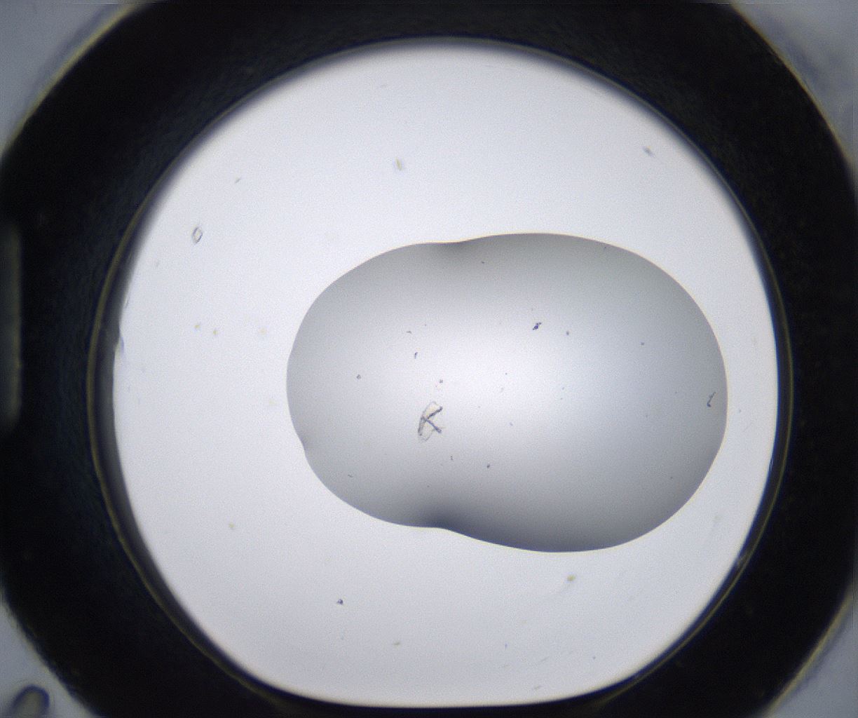 folderID268_plateID2268_batchID10353_wellNum95_profileID1_d1_r157758_ef.jpg