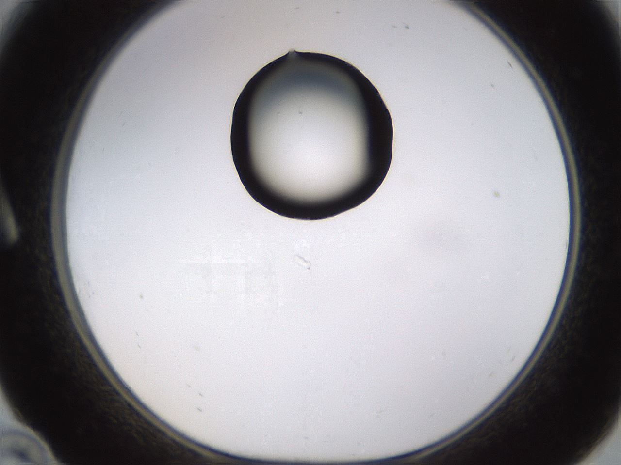 folderID269_plateID1269_batchID4165_wellNum10_profileID1_d1_r73162_ef.jpg