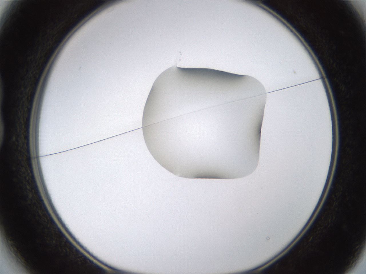 folderID269_plateID1269_batchID4165_wellNum13_profileID1_d1_r73168_ef.jpg