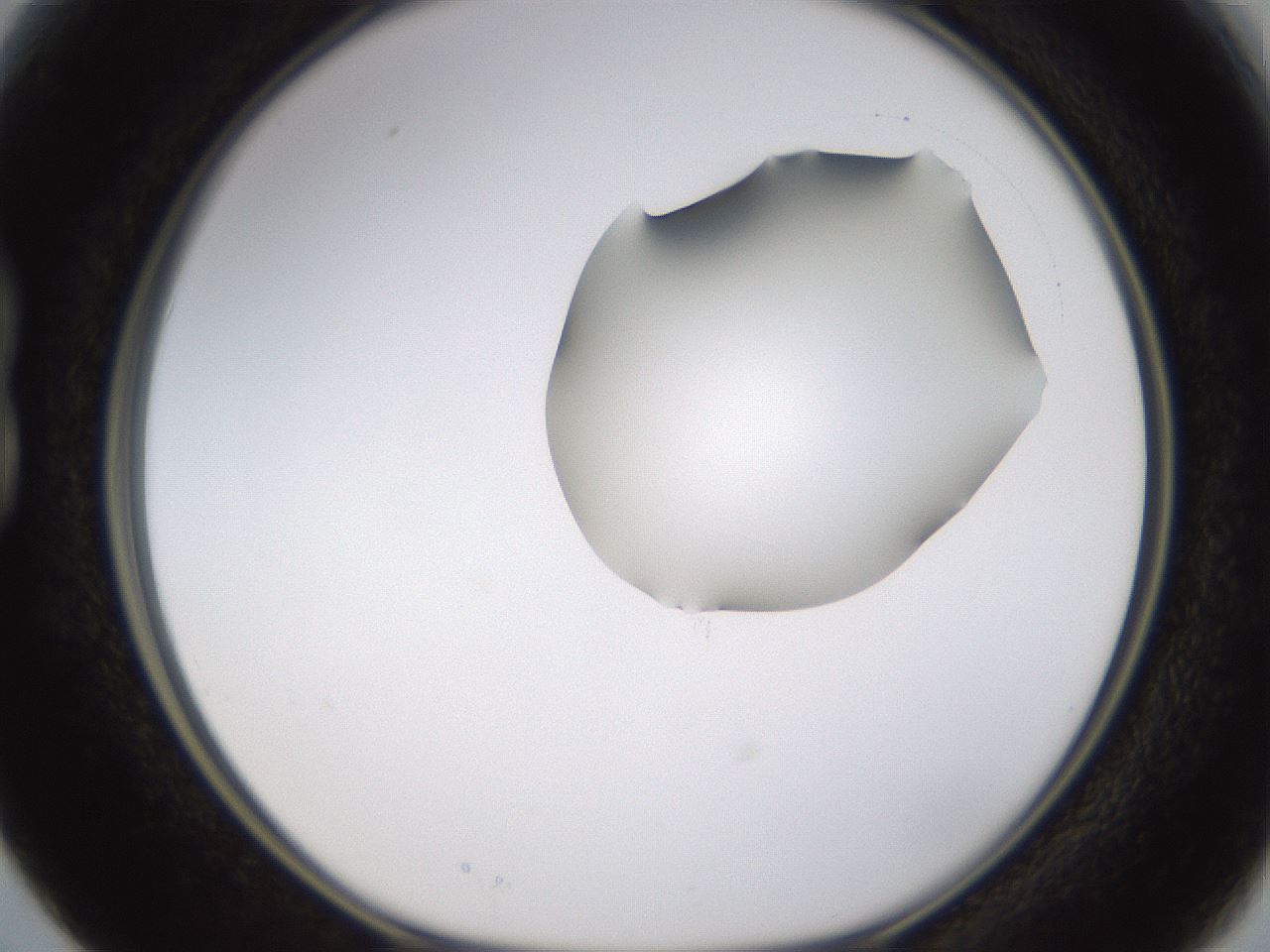 folderID269_plateID1269_batchID4165_wellNum15_profileID1_d1_r73172_ef.jpg