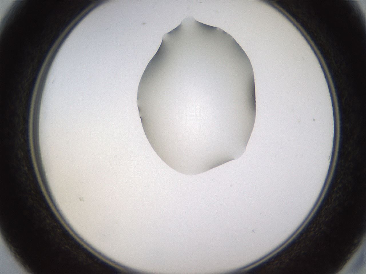 folderID269_plateID1269_batchID4165_wellNum15_profileID1_d2_r73173_ef.jpg