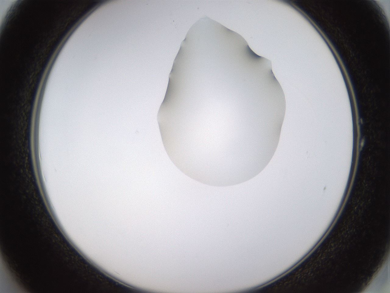 folderID269_plateID1269_batchID4165_wellNum1_profileID1_d2_r73145_ef.jpg