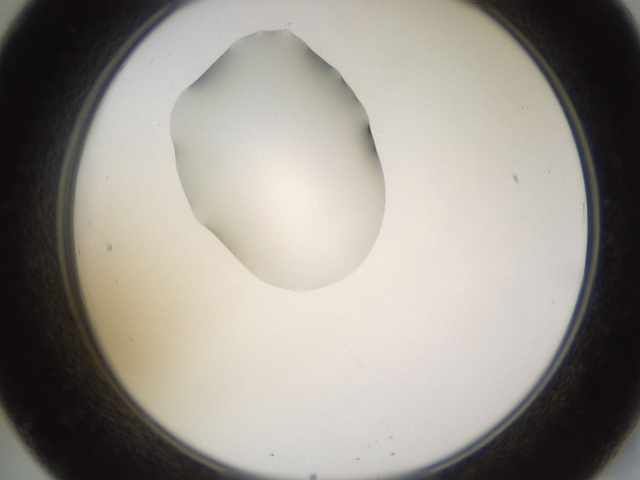 folderID269_plateID1269_batchID4165_wellNum20_profileID1_d2_r73183_ef.jpg
