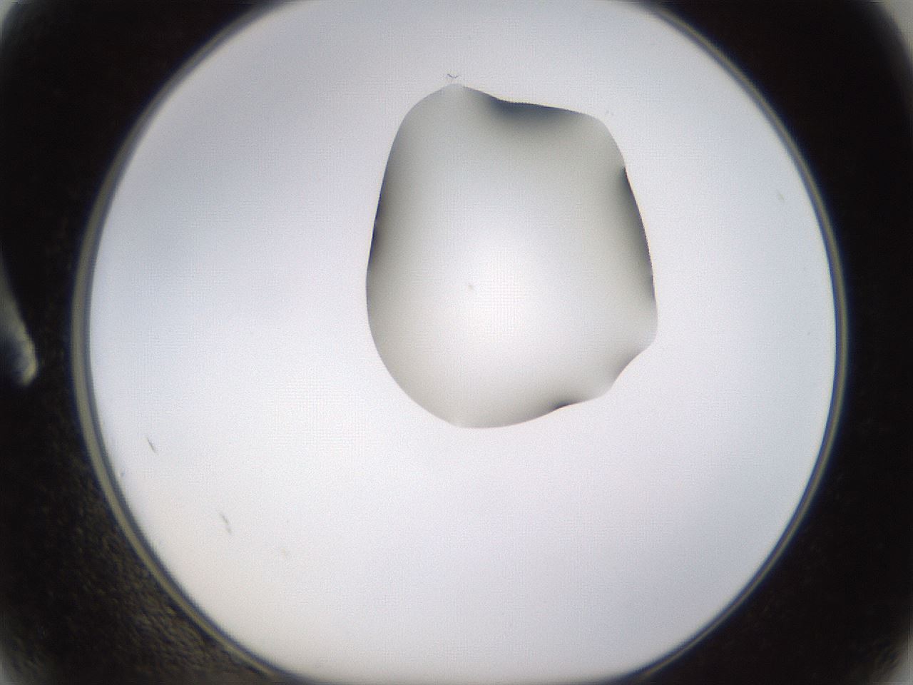 folderID269_plateID1269_batchID4165_wellNum2_profileID1_d1_r73146_ef.jpg