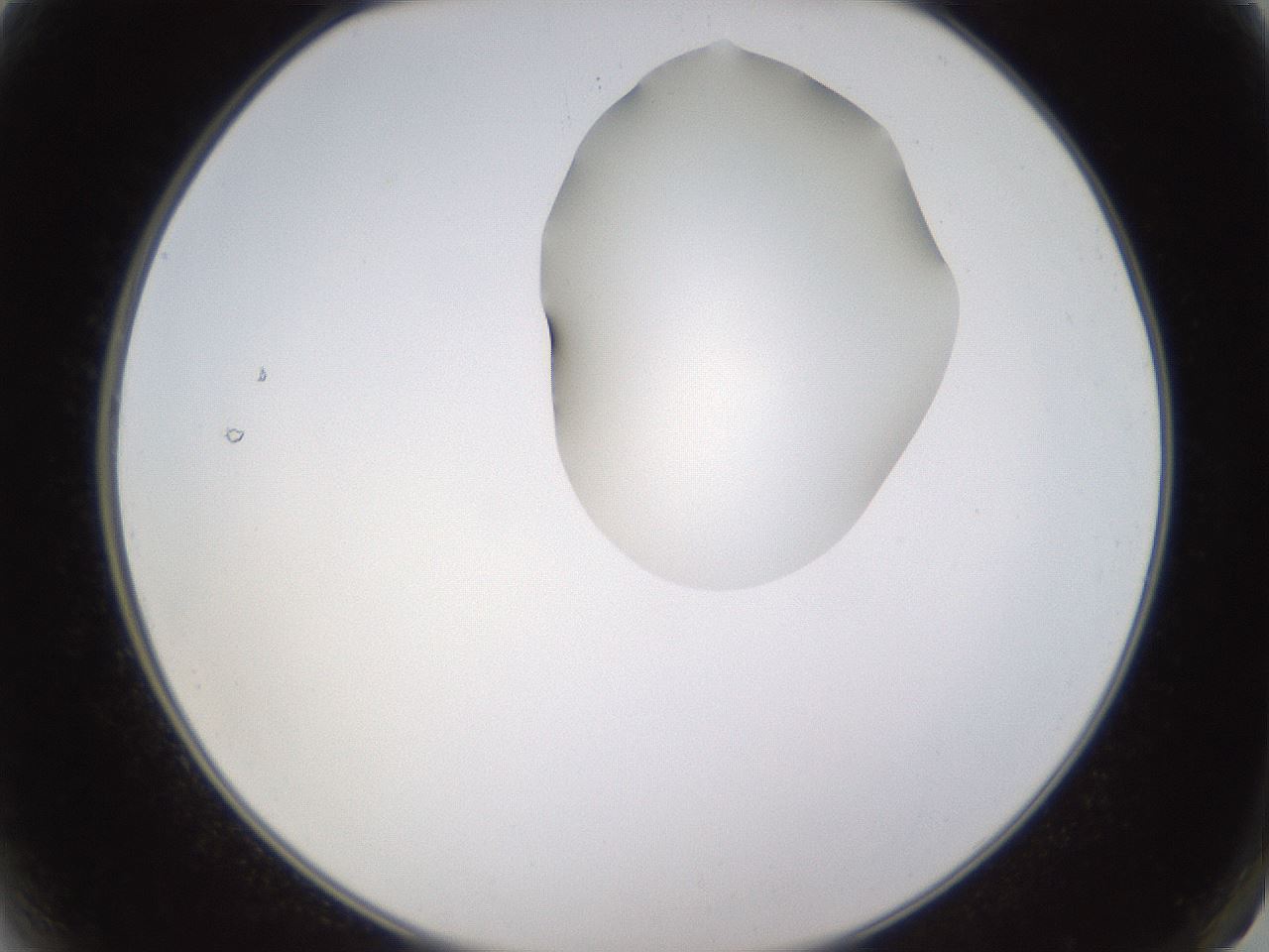 folderID269_plateID1269_batchID4165_wellNum2_profileID1_d2_r73147_ef.jpg