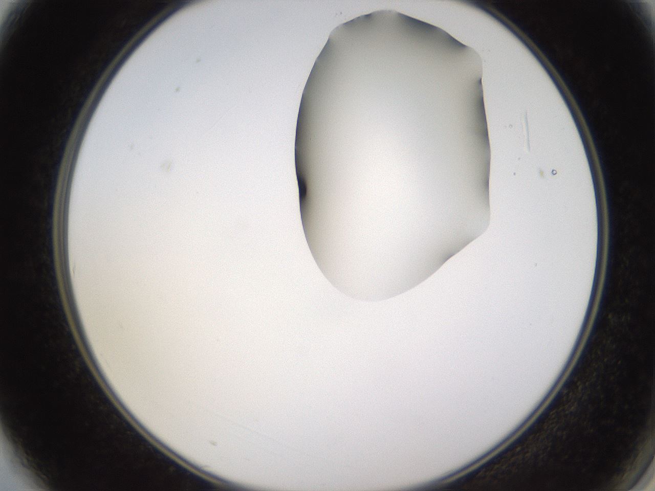 folderID269_plateID1269_batchID4165_wellNum3_profileID1_d2_r73149_ef.jpg