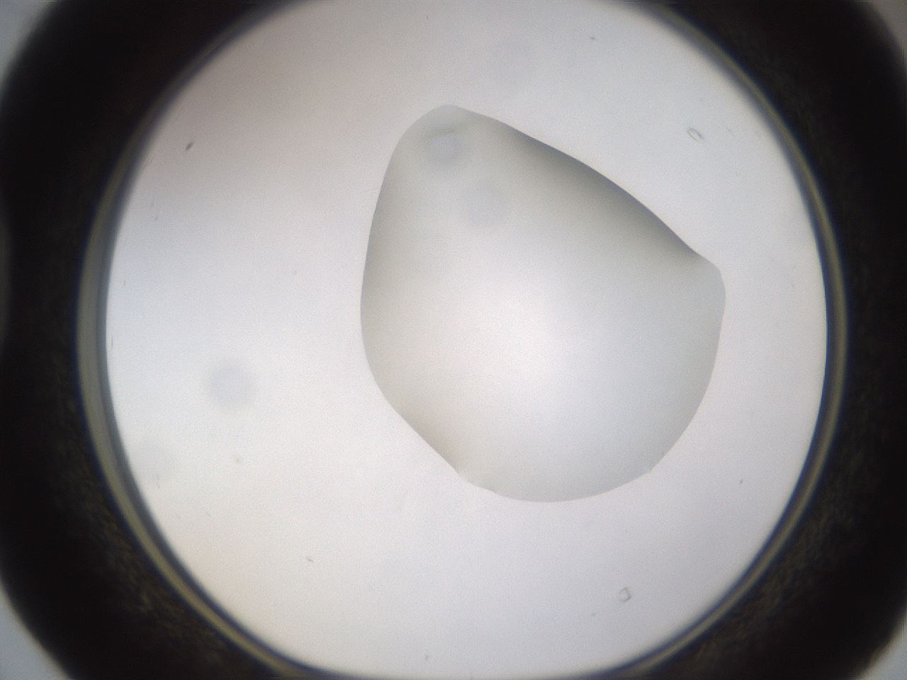 folderID269_plateID1269_batchID4165_wellNum40_profileID1_d1_r73222_ef.jpg