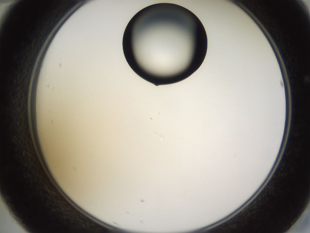 folderID269_plateID1269_batchID4165_wellNum46_profileID1_d2_r73235_ef.jpg