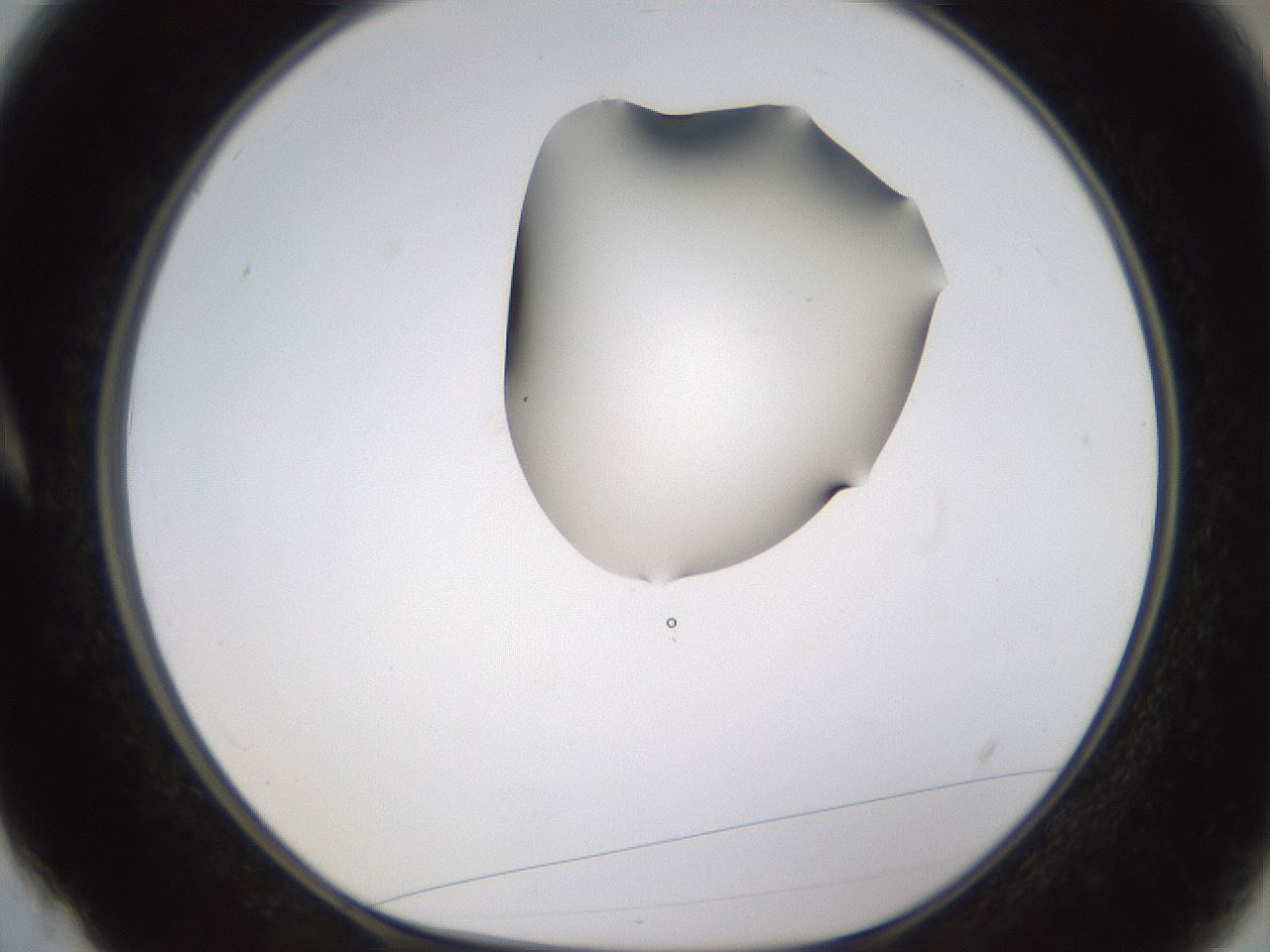 folderID269_plateID1269_batchID4165_wellNum4_profileID1_d1_r73150_ef.jpg