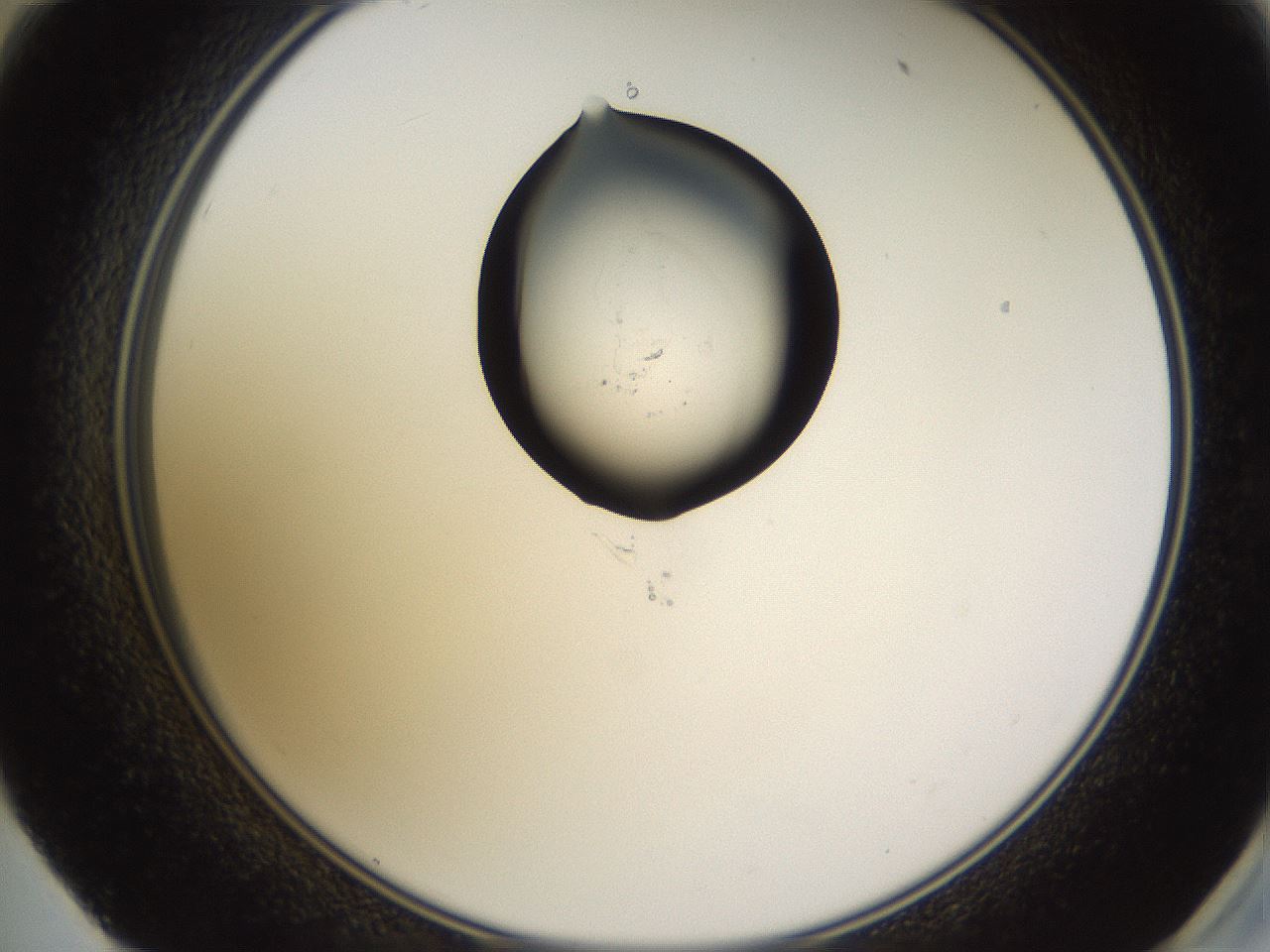 folderID269_plateID1269_batchID4165_wellNum59_profileID1_d2_r73261_ef.jpg
