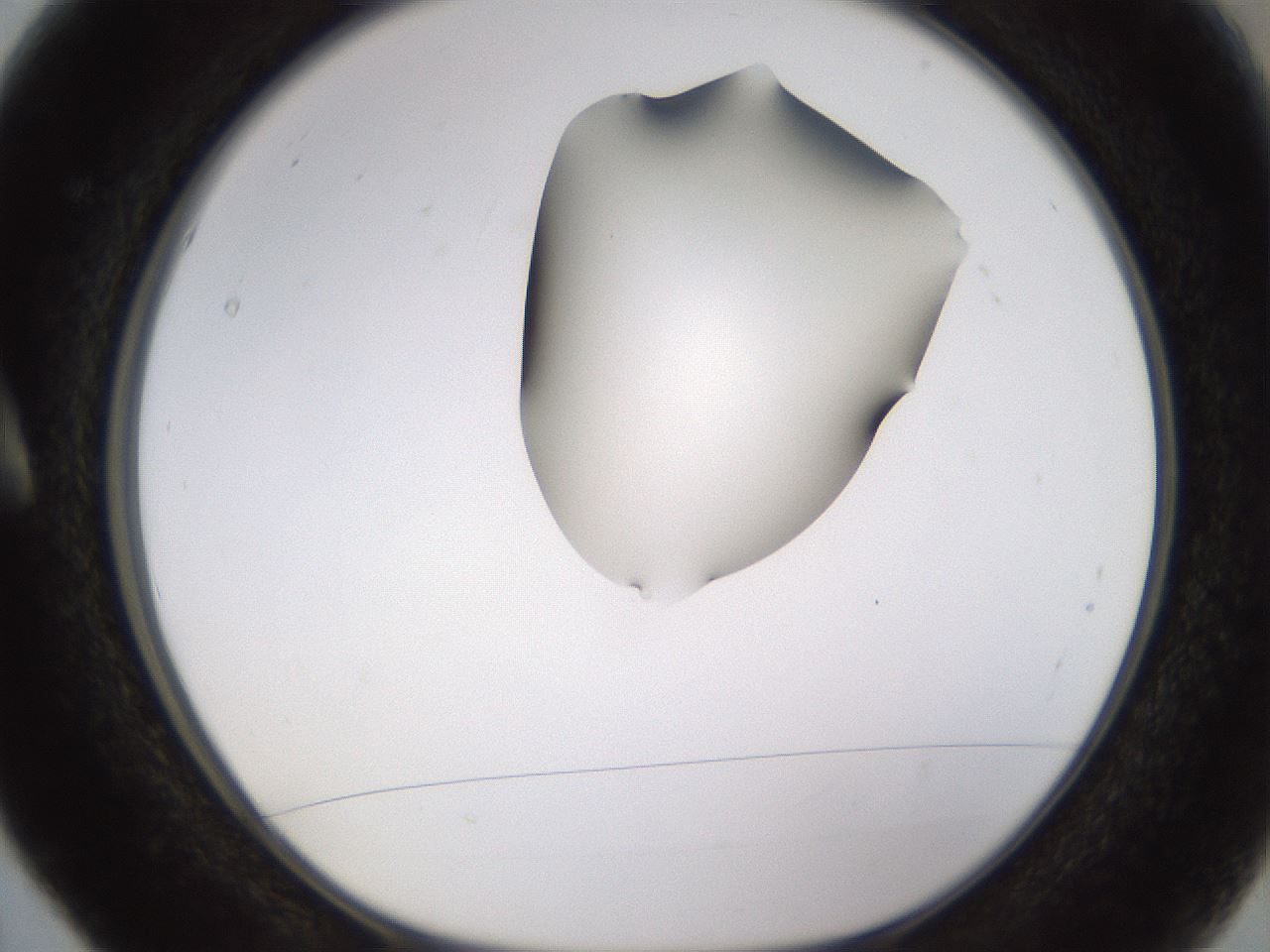folderID269_plateID1269_batchID4165_wellNum5_profileID1_d1_r73152_ef.jpg