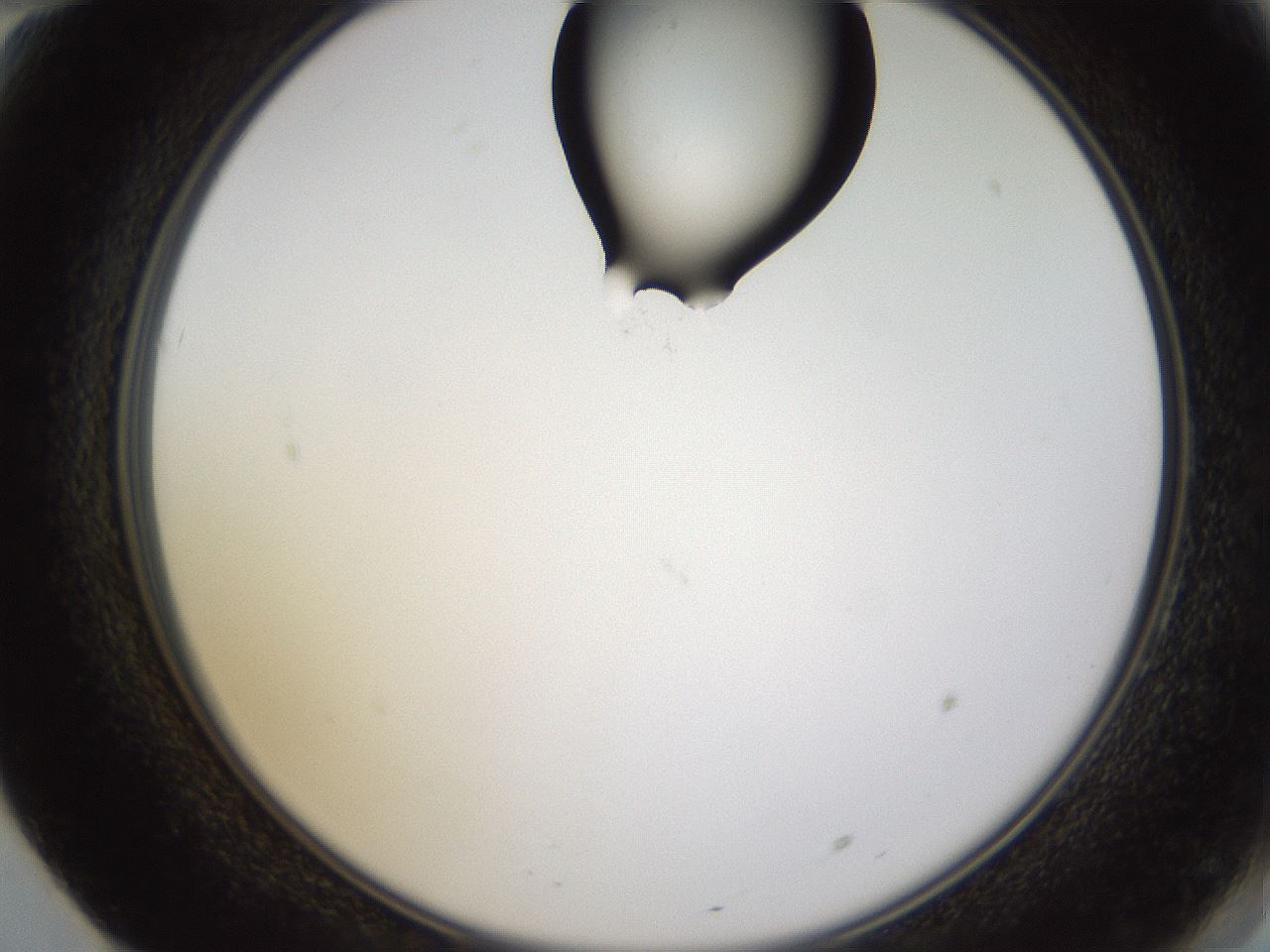 folderID269_plateID1269_batchID4165_wellNum70_profileID1_d2_r73283_ef.jpg